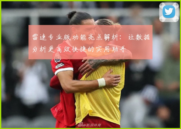 雷速专业版功能亮点解析：让数据分析更高效快捷的实用助手
