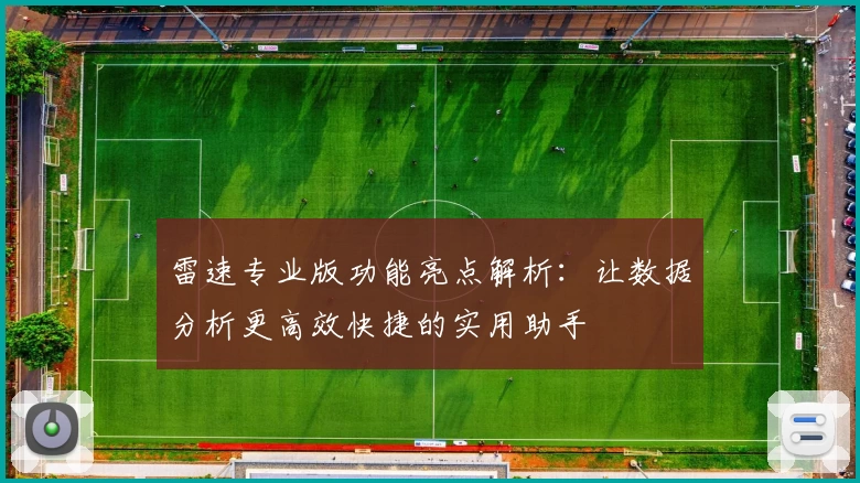 雷速专业版功能亮点解析：让数据分析更高效快捷的实用助手